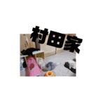 aiaiaiboo（個別スタンプ：6）