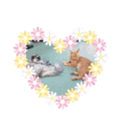 aiaiaiboo（個別スタンプ：9）