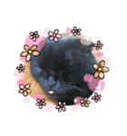 aiaiaiboo（個別スタンプ：10）