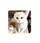 aiaiaiboo（個別スタンプ：13）