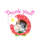 aiaiaiboo（個別スタンプ：16）