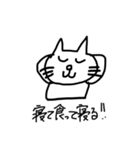 猫です。にゃーにゃー（個別スタンプ：8）