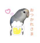 コザクラインコのなつちゃん（個別スタンプ：1）