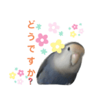 コザクラインコのなつちゃん（個別スタンプ：2）