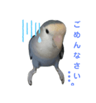 コザクラインコのなつちゃん（個別スタンプ：7）