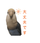 コザクラインコのなつちゃん（個別スタンプ：8）