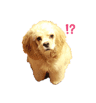 こんにちは。メイです。（個別スタンプ：5）