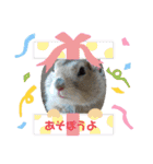 リチャードソンジリスのお転婆るかちゃん！（個別スタンプ：10）