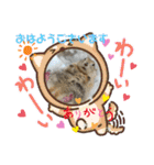 リチャードソンジリスのお転婆るかちゃん！（個別スタンプ：18）