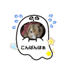 リチャードソンジリスのお転婆るかちゃん！（個別スタンプ：23）