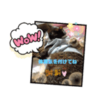リチャードソンジリスのお転婆るかちゃん！（個別スタンプ：33）