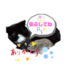 リチャードソンジリスのお転婆るかちゃん！（個別スタンプ：37）