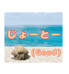 沖縄の方言〜うちなーぐち〜（個別スタンプ：2）