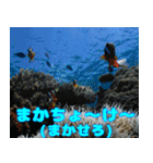 沖縄の方言〜うちなーぐち〜（個別スタンプ：20）