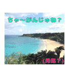 沖縄の方言〜うちなーぐち〜（個別スタンプ：23）