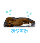 つなちゃんのスタンプ（個別スタンプ：2）