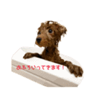 つなちゃんのスタンプ（個別スタンプ：3）