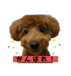 つなちゃんのスタンプ（個別スタンプ：20）
