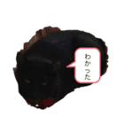 黒猫エラ（個別スタンプ：16）