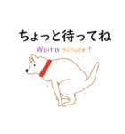 白い犬バージョン（個別スタンプ：13）