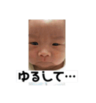 あいらぶあおちゃん（個別スタンプ：1）