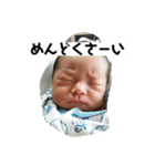 あいらぶあおちゃん（個別スタンプ：12）