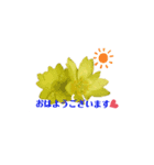 Flower あいさつ2（個別スタンプ：1）