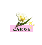 Flower あいさつ2（個別スタンプ：2）