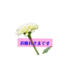 Flower あいさつ2（個別スタンプ：3）