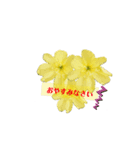 Flower あいさつ2（個別スタンプ：8）