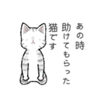 ねこ太郎のにゃんこ定食2（個別スタンプ：24）