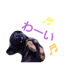 OREO dog stamp 1（個別スタンプ：6）