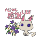 幸福をもたらす福猫(ぷくねこ)さん（個別スタンプ：14）