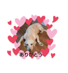 すずりんこ（個別スタンプ：1）