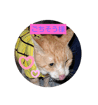 すずりんこ（個別スタンプ：2）
