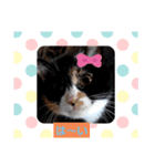 すずりんこ（個別スタンプ：4）