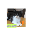 すずりんこ（個別スタンプ：5）