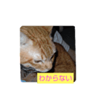 すずりんこ（個別スタンプ：7）
