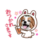 パピヨンめる 2（個別スタンプ：12）