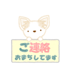 チワワのいちごちゃんです♪（個別スタンプ：16）