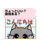 毎日使える猫たちのメッセージ（日常）2020（個別スタンプ：5）