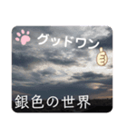 大好き空のスタンプ（個別スタンプ：5）