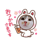 こなつのスタンプ2（個別スタンプ：4）
