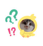 こなつのスタンプ2（個別スタンプ：18）