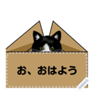 段ボールが大好きな猫  ハチワレちゃん（個別スタンプ：3）