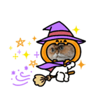 ハッピーニャロイーン（個別スタンプ：1）