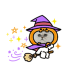 ハッピーニャロイーン（個別スタンプ：6）