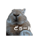 ミニウサギのピーちゃん（個別スタンプ：4）