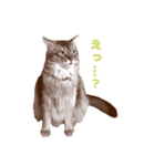 KOJIRO2020（個別スタンプ：2）