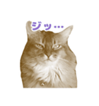 KOJIRO2020（個別スタンプ：4）